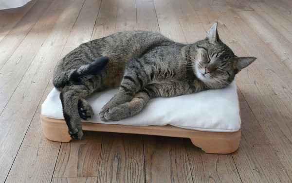 MINKAS Katzenofen