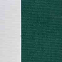 589 - green stripe