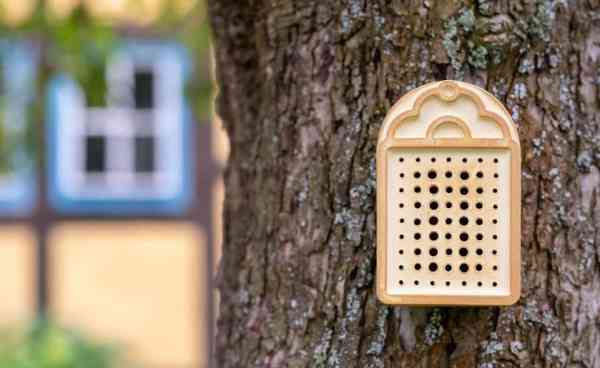 Wildbienenhaus